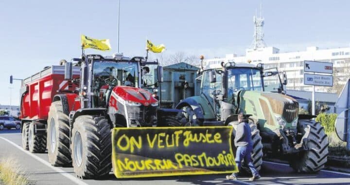 Revenu agricole en Occitanie : 13 200€ par an, pourquoi deux fois moins que la moyenne nationale ?